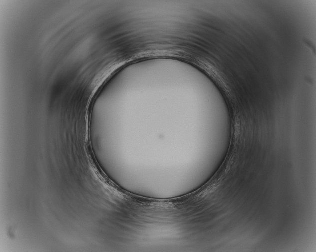 X0000100870844200807111316