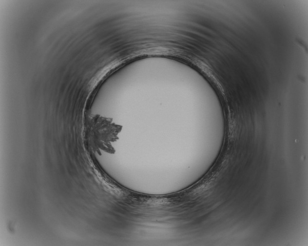 X0000100870845200807111316