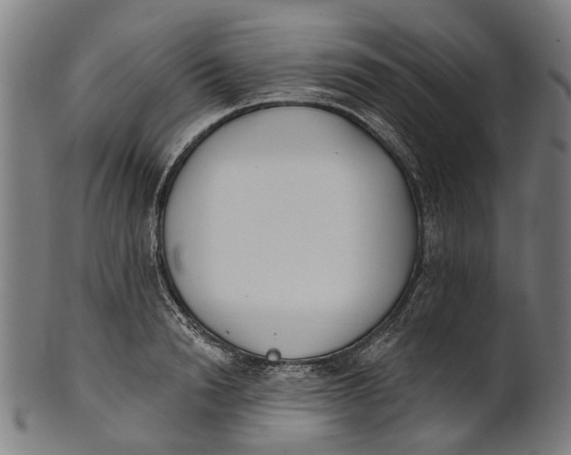 X0000100870846200807111316