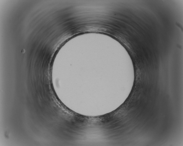 X0000100870848200807111316