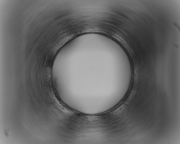 X0000100870849200807111316