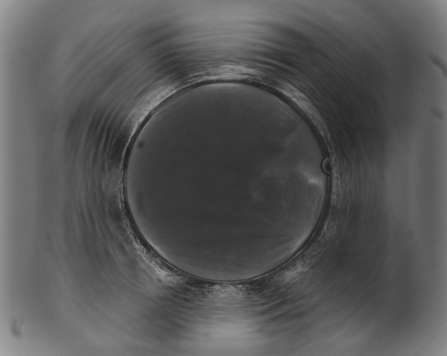 X0000100870850200807111316