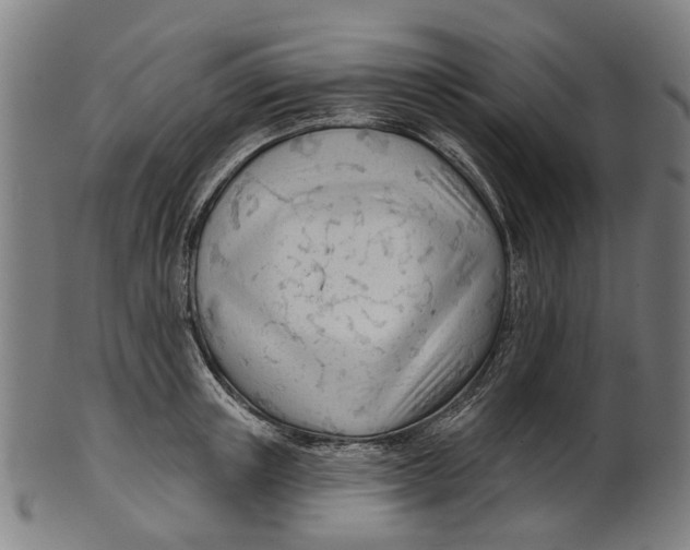 X0000100870851200807111316