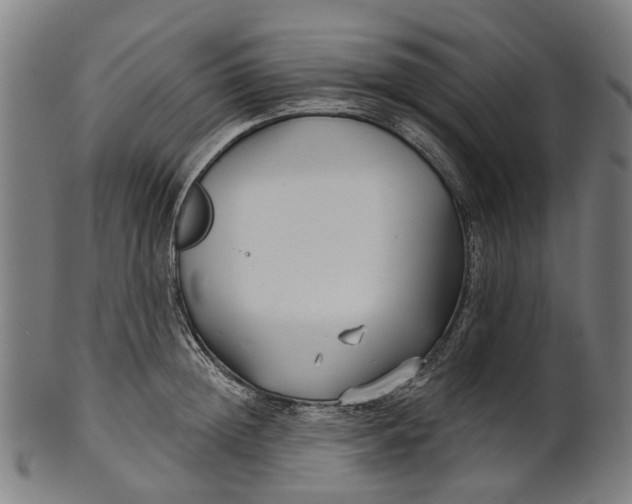 X0000100870852200807111316