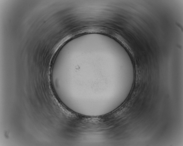 X0000100870853200807111316