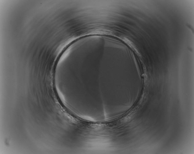 X0000100870854200807111316