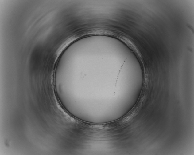 X0000100870855200807111316