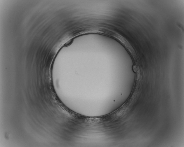 X0000100870858200807111316