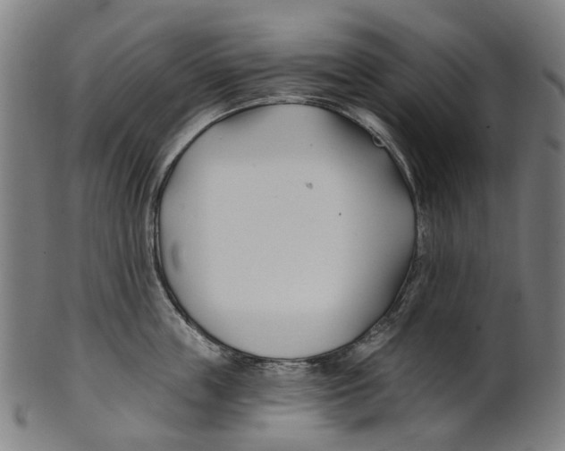 X0000100870859200807111316