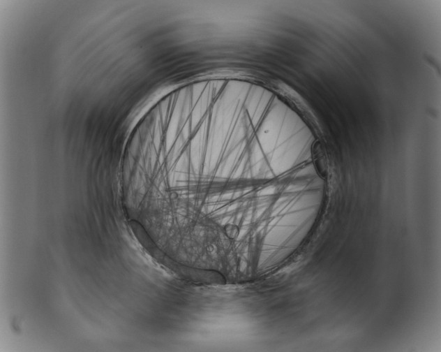 X0000100870860200807111316