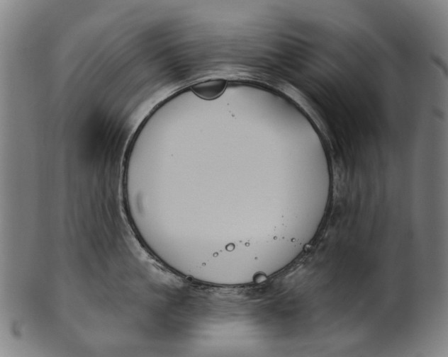 X0000100870861200807111316