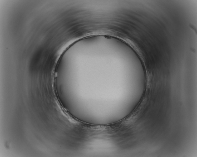 X0000100870862200807111316