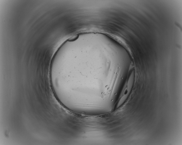 X0000100870863200807111316