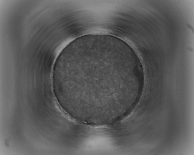 X0000100870864200807111316