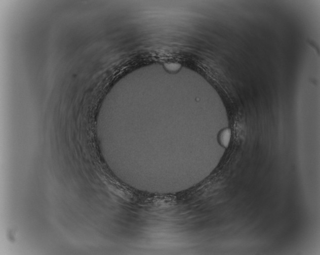 X0000100870865200807111315