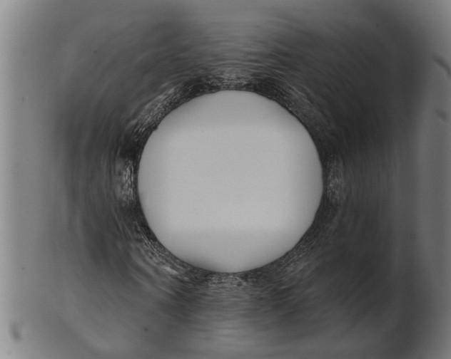 X0000100870866200807111315