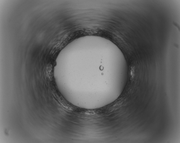 X0000100870867200807111315