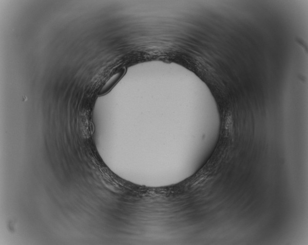 X0000100870868200807111315