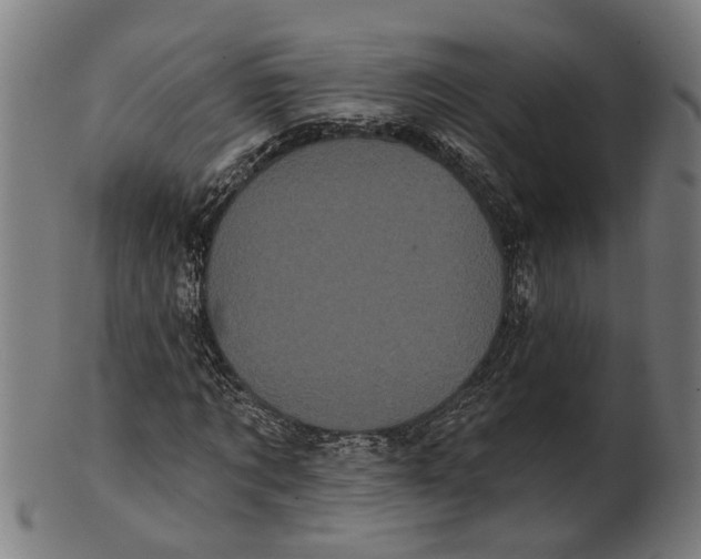 X0000100870869200807111315