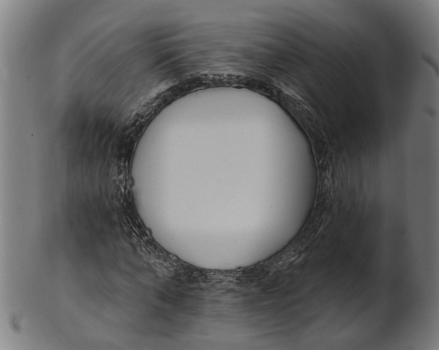 X0000100870870200807111315