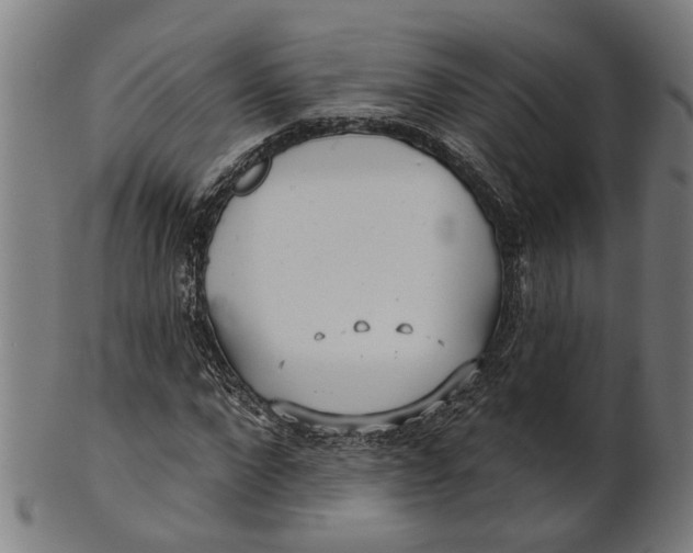 X0000100870872200807111315