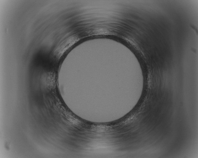 X0000100870873200807111315