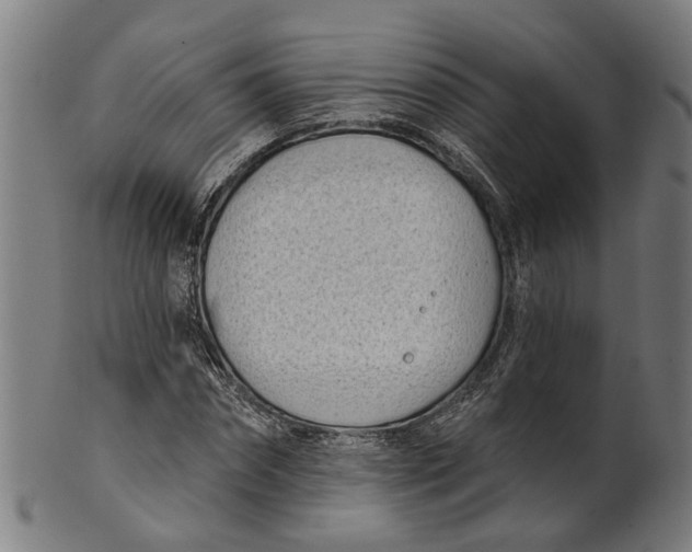 X0000100870874200807111315