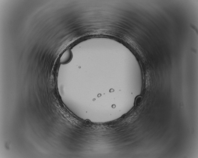 X0000100870876200807111315