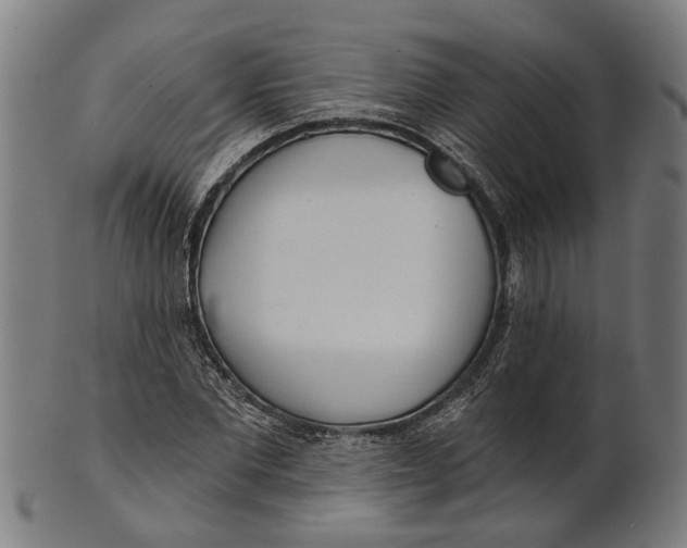 X0000100870877200807111315