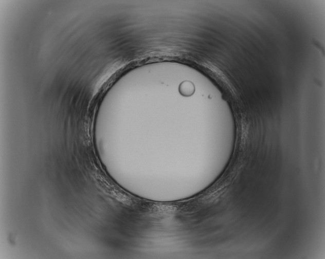 X0000100870878200807111315