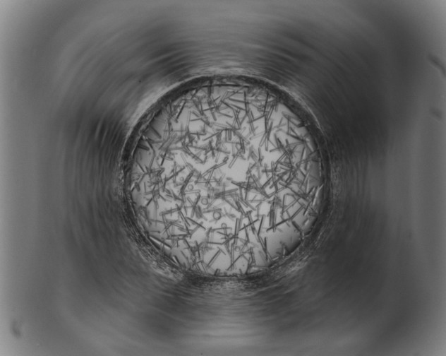 X0000100870879200807111315