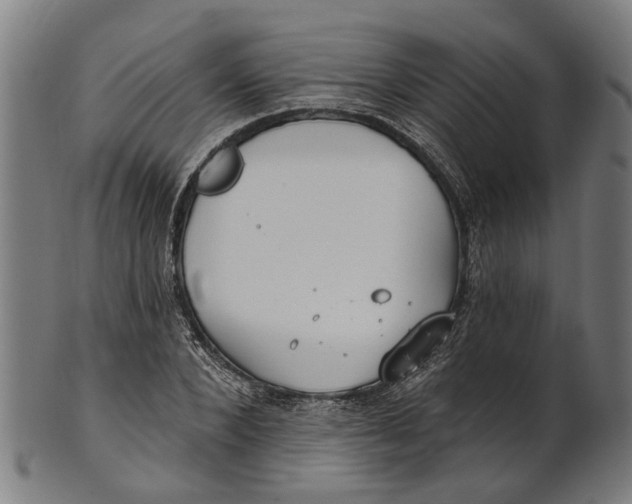 X0000100870880200807111315