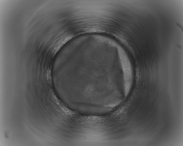 X0000100870881200807111315