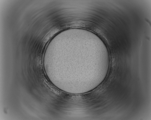 X0000100870882200807111315