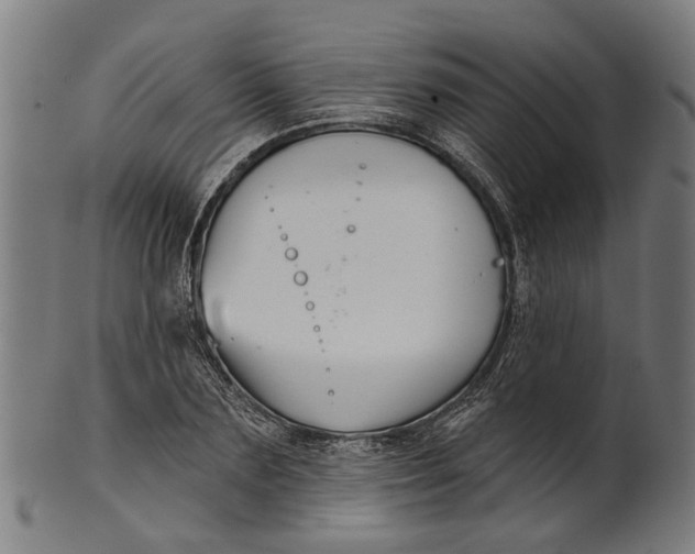 X0000100870883200807111315