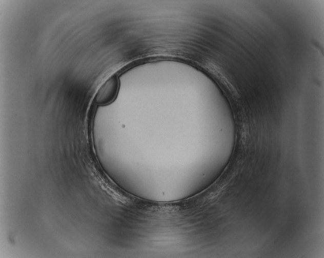 X0000100870884200807111315