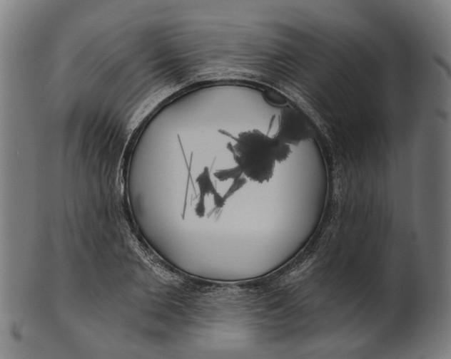 X0000100870885200807111315