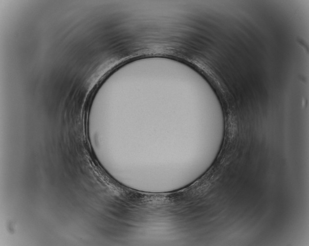 X0000100870886200807111315