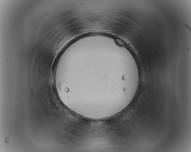 X0000100870887200807111315