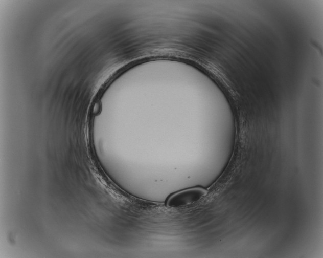 X0000100870888200807111315