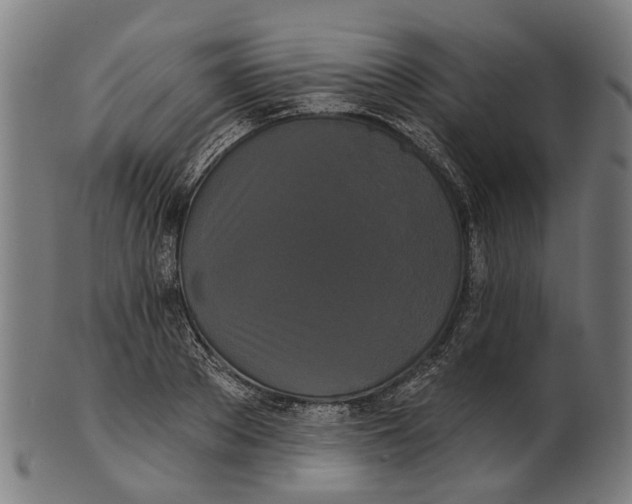 X0000100870889200807111315