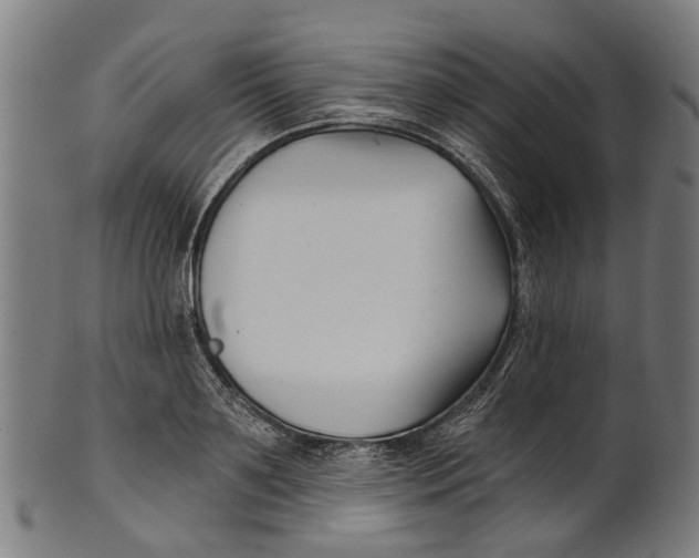 X0000100870891200807111315