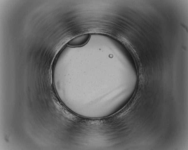 X0000100870892200807111315