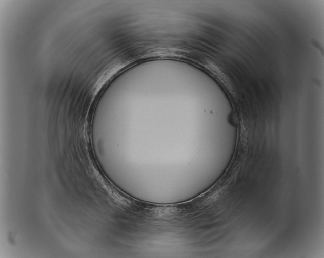 X0000100870893200807111315