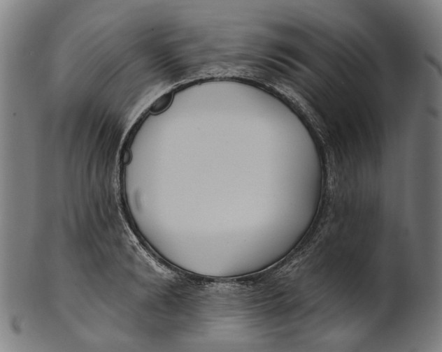 X0000100870894200807111315