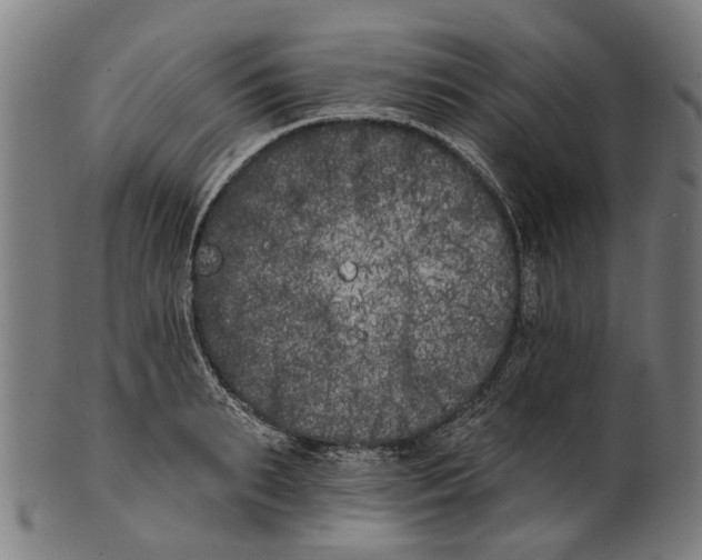 X0000100870895200807111315