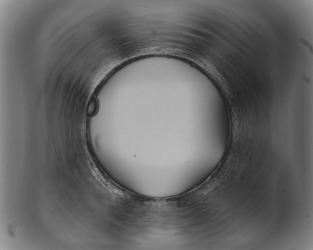 X0000100870896200807111315