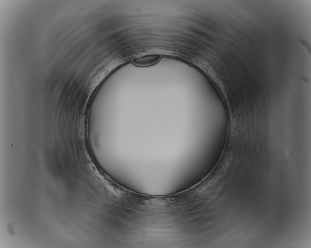 X0000100870898200807111315