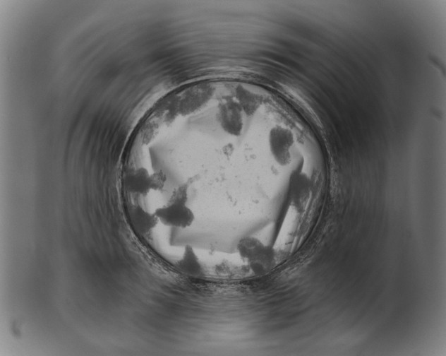 X0000100870899200807111315