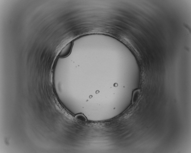 X0000100870900200807111315